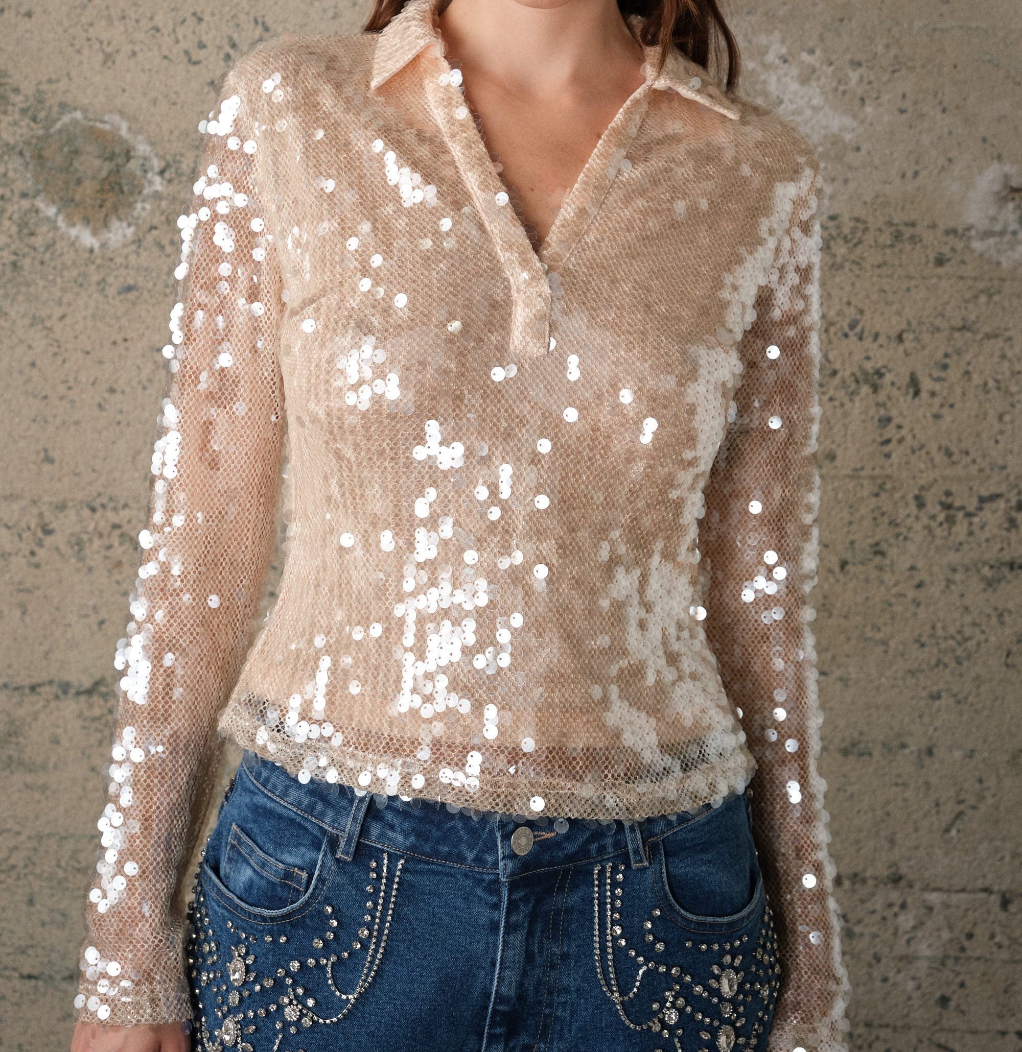 Hannah Nude Sequin Mesh Long Sleeve Top