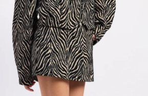 Tilly Animal Print Mini Skirt
