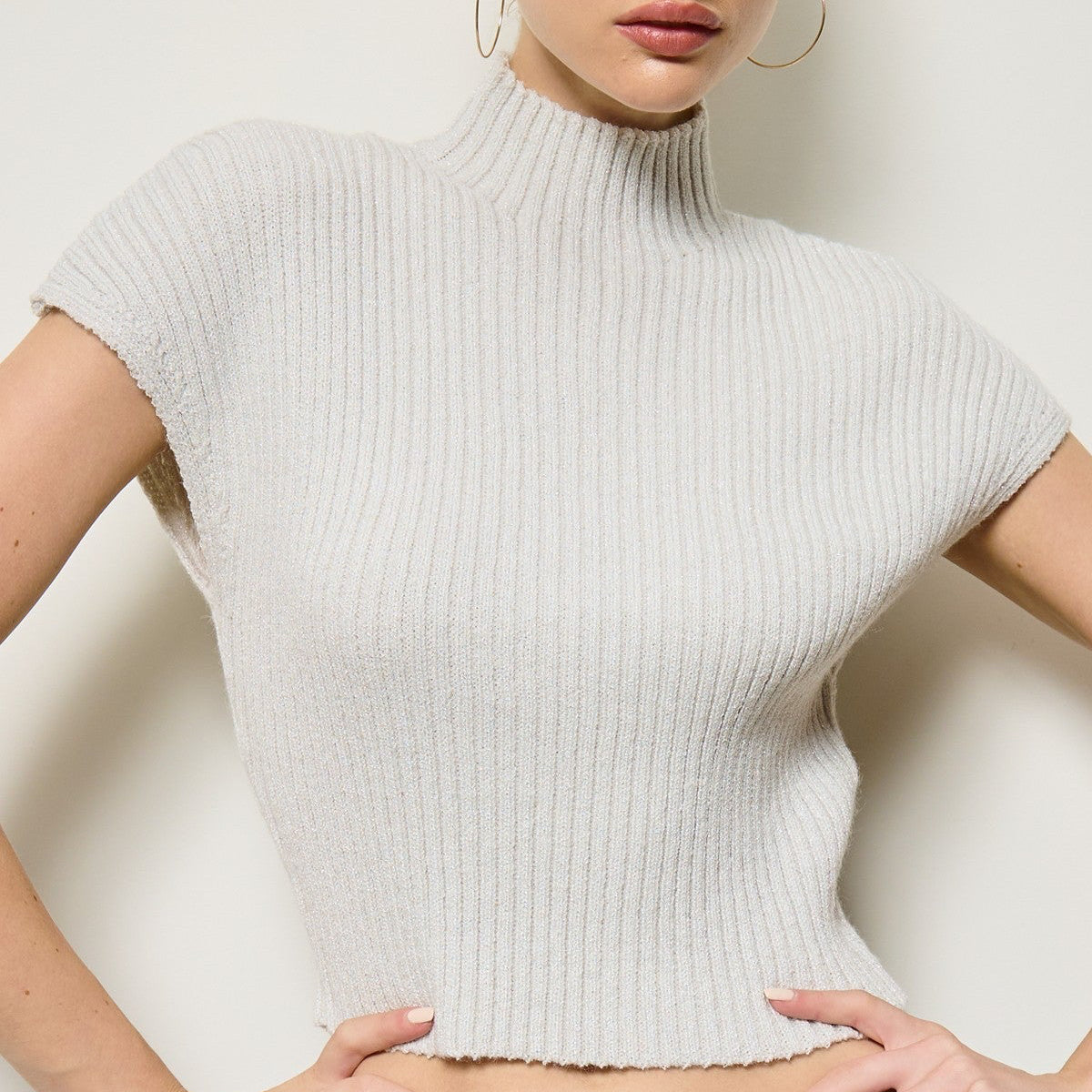 Aspen Silver Ribbed Mock Neck Knit Top