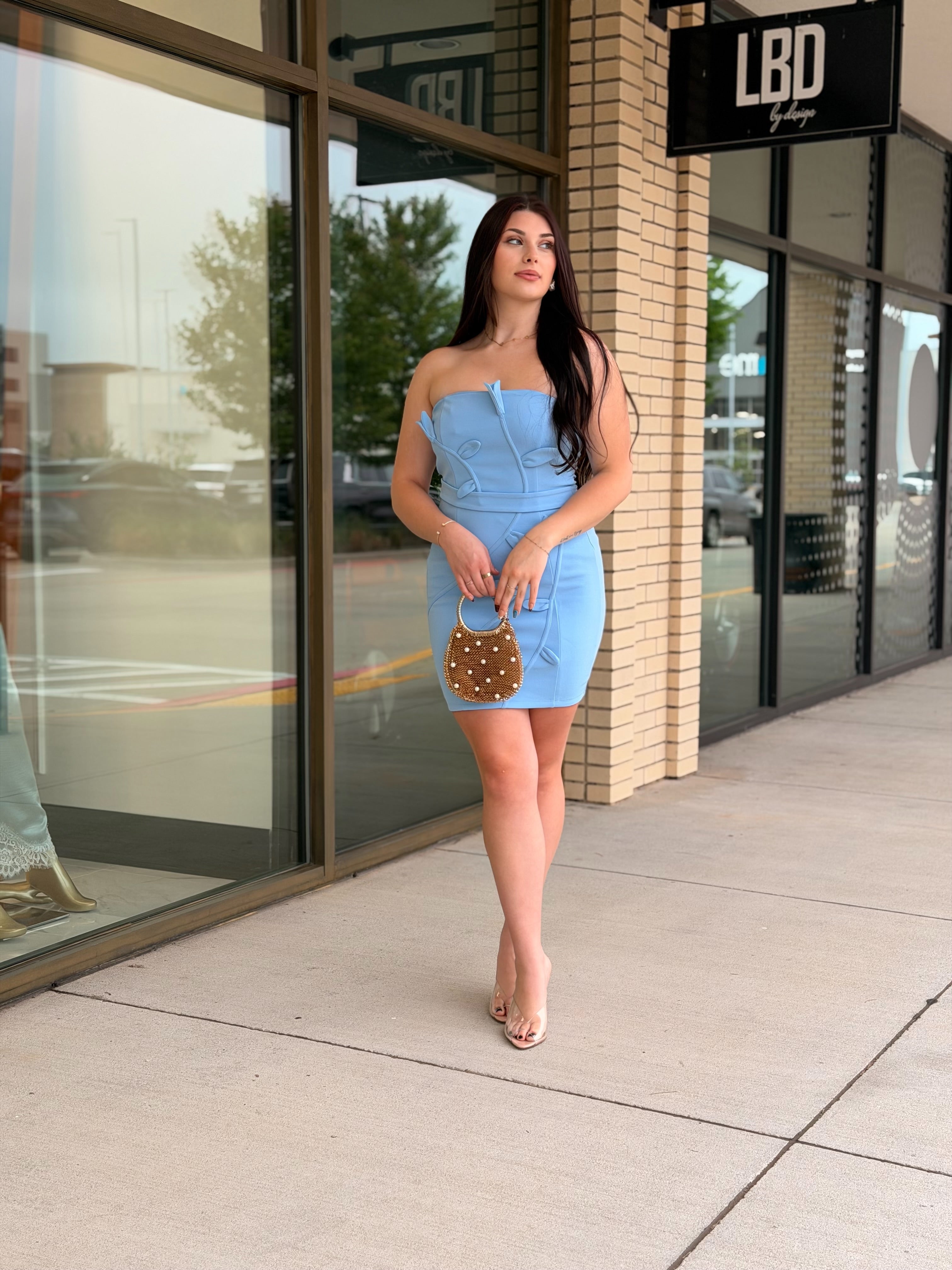 Layla Light Blue Flower Petal Lined Dress