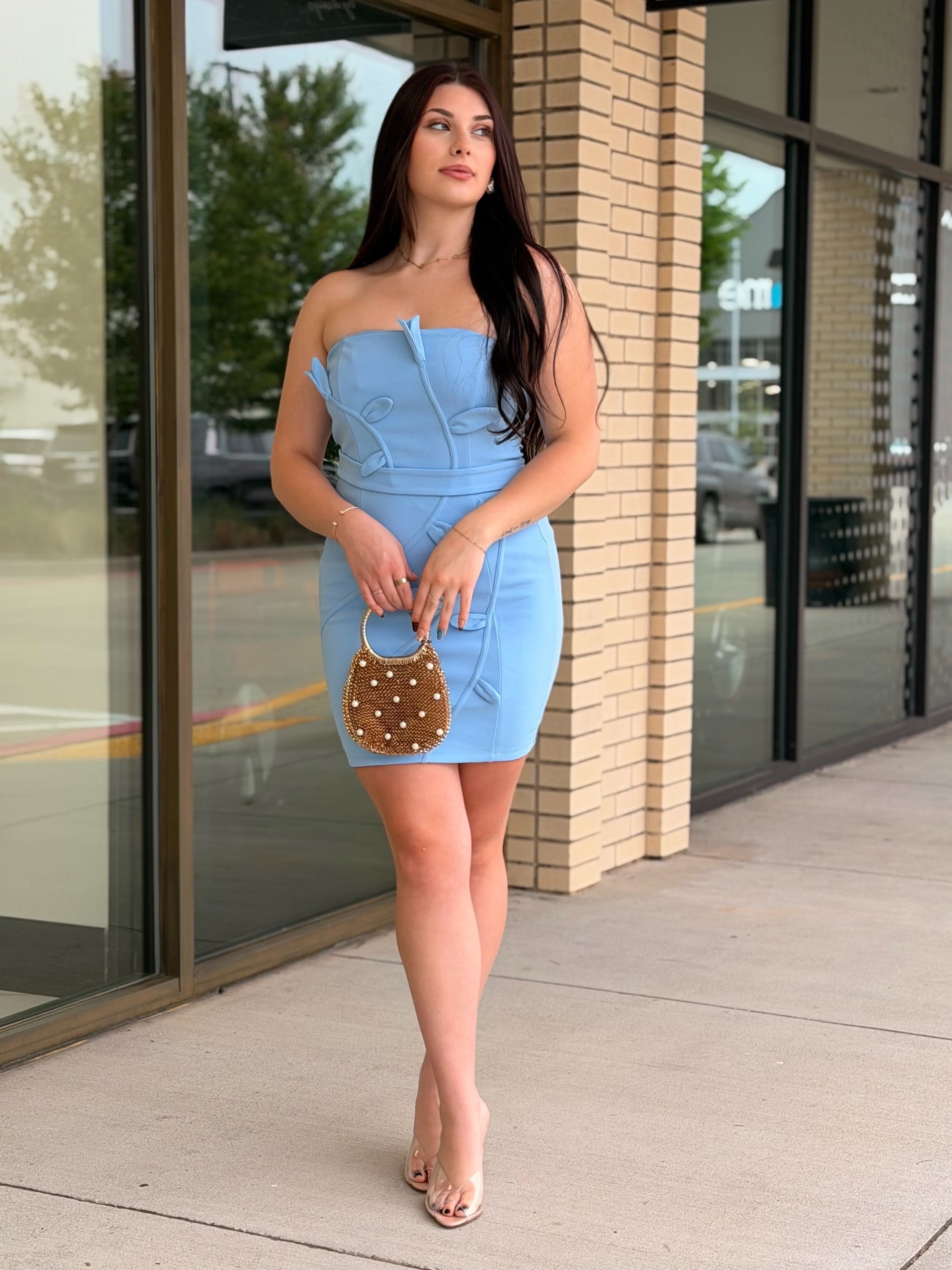 Layla Light Blue Flower Petal Lined Dress