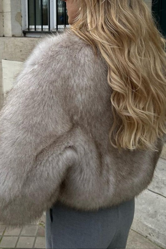 Wolfe grey crop fur 3 clasp jacket