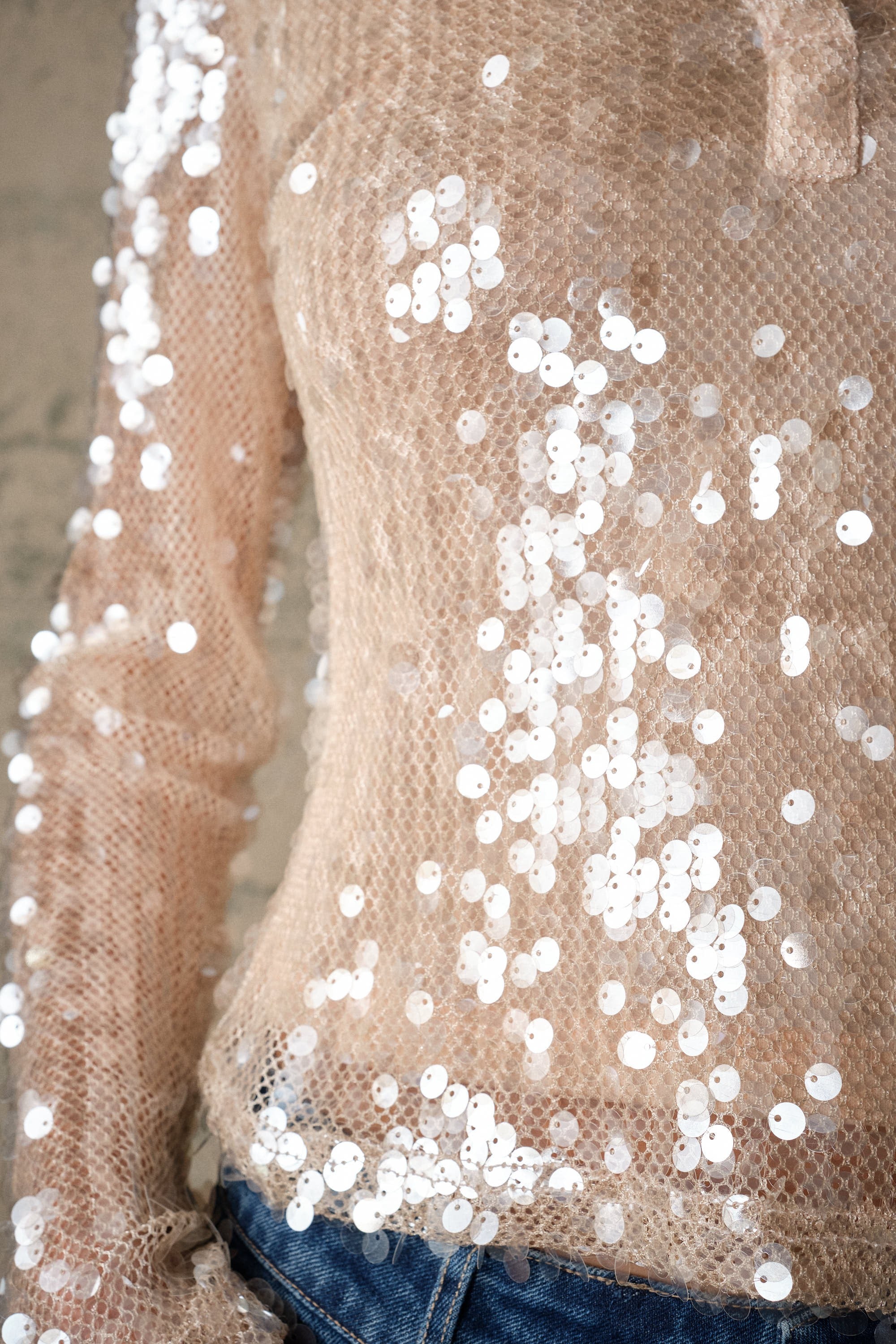 Hannah Nude Sequin Mesh Long Sleeve Top